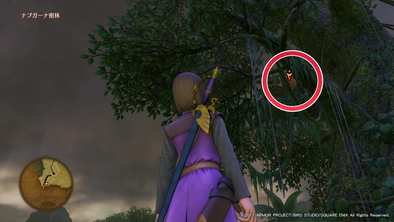 ナプガーナ密林のマト3の画像