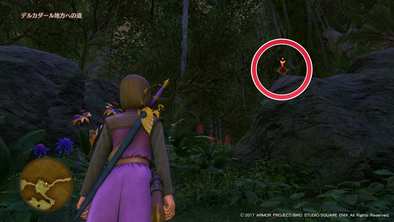 ナプガーナ密林のマト4の画像