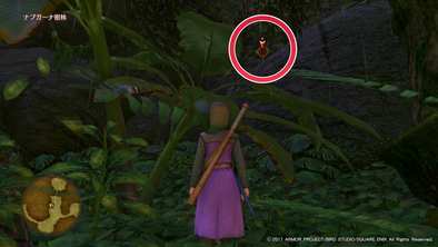 ナプガーナ密林のマト2の画像