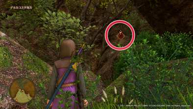 デルカコスタ地方のマト1の画像