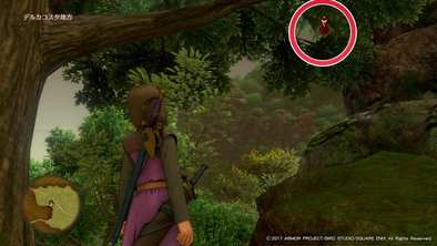 デルカコスタ地方のマト3の画像