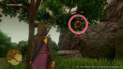 バンデルフォン地方のマト5の画像