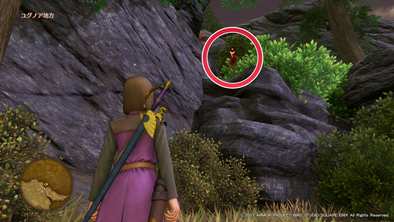 ユグノア地方のマト5画像