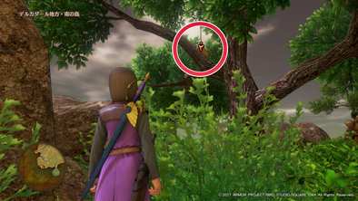 デルカダール地方・南の島のマトの画像