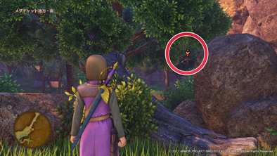 メダチャット地方のマトの場所4の画像