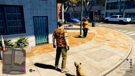 エタナの見た目