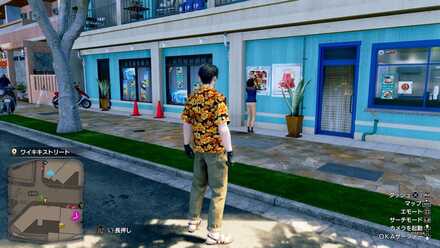 オネサの見た目