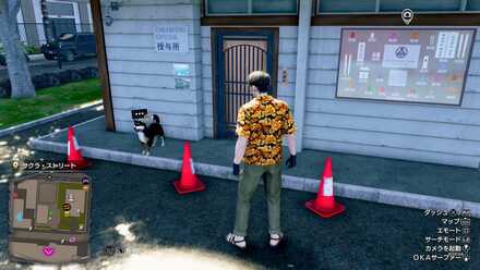 クッキーの見た目