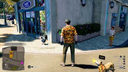 ウイングの見た目