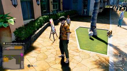 ササ美の見た目