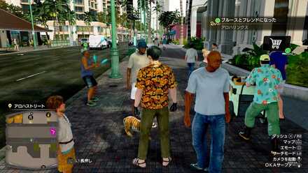 ブルースの見た目