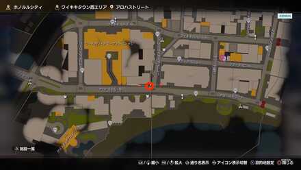 ナイアのマップ画像