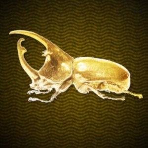 金のカブトムシ画像