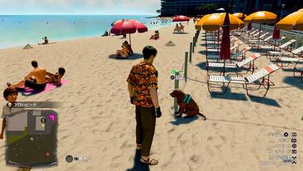 テディの見た目