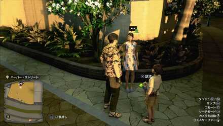 アイシャの見た目