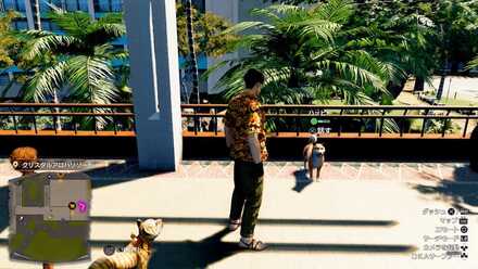 ハッピーの見た目