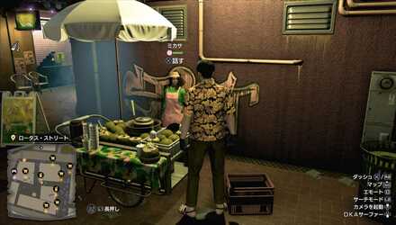 ミカサの見た目