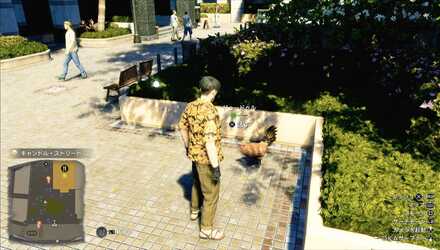 ドゥードゥルの見た目