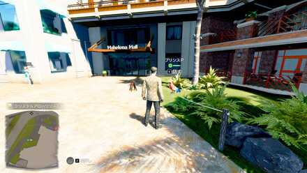 プリンスPの見た目