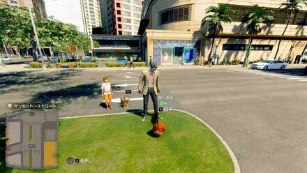 カーネルの見た目