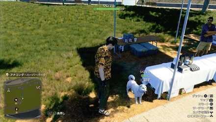 シロマルの見た目