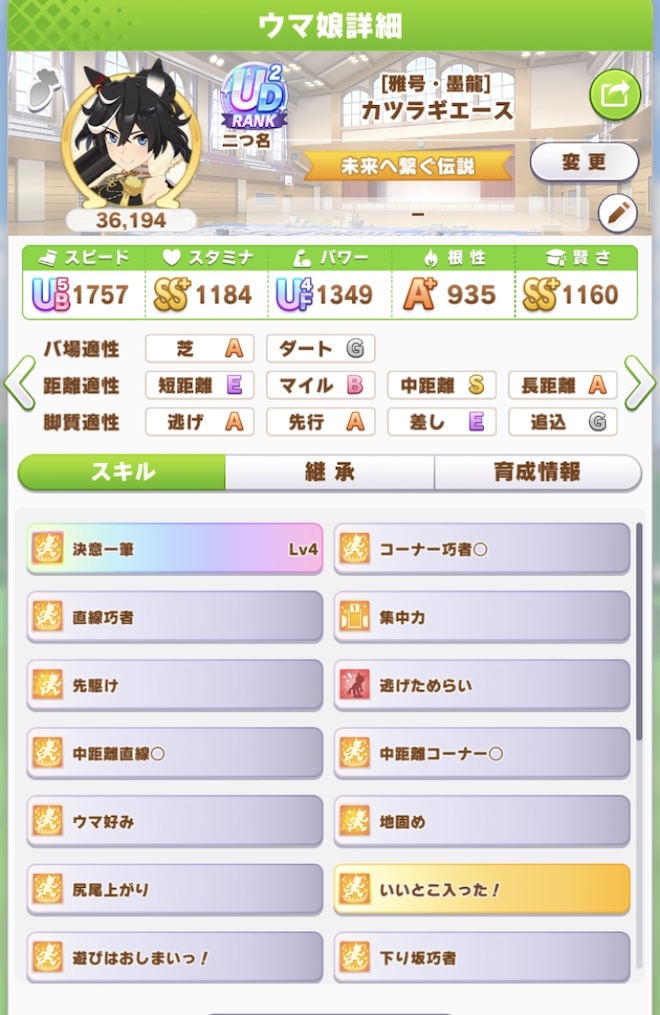 カツラギエース