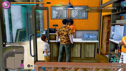 パラキーコの見た目