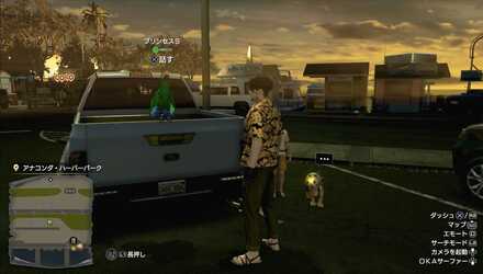 プリンセスSの見た目