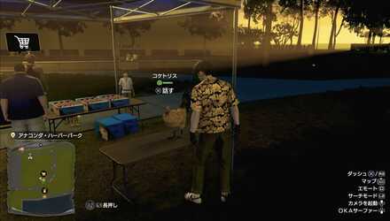 コケトリスの見た目