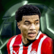 HPマリクティルマン(02/27)画像