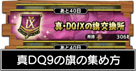 真DQ9の旗の集め方