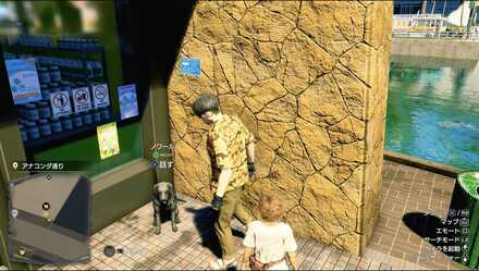 ノワールの見た目