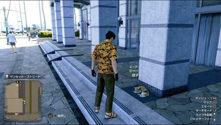 ミーアの見た目