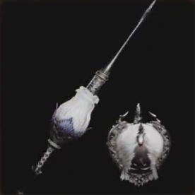 ラバラ・ロンスⅡ