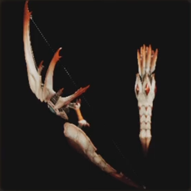 MHWildsのスキュラフィストⅠ画像