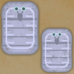 キョムトン画像