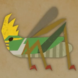 皇帝バッタ画像