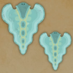 ソラナリア画像