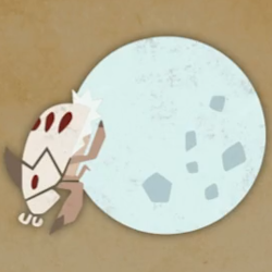 ユキダマコガネ画像