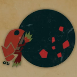 バクダンイワコロガシ画像