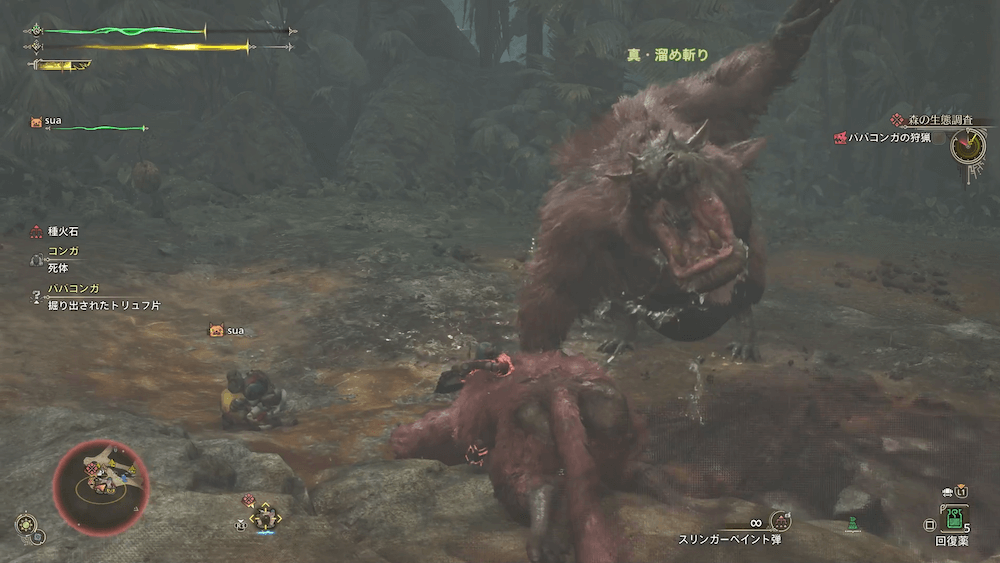 ババコンガ狩猟後に解放