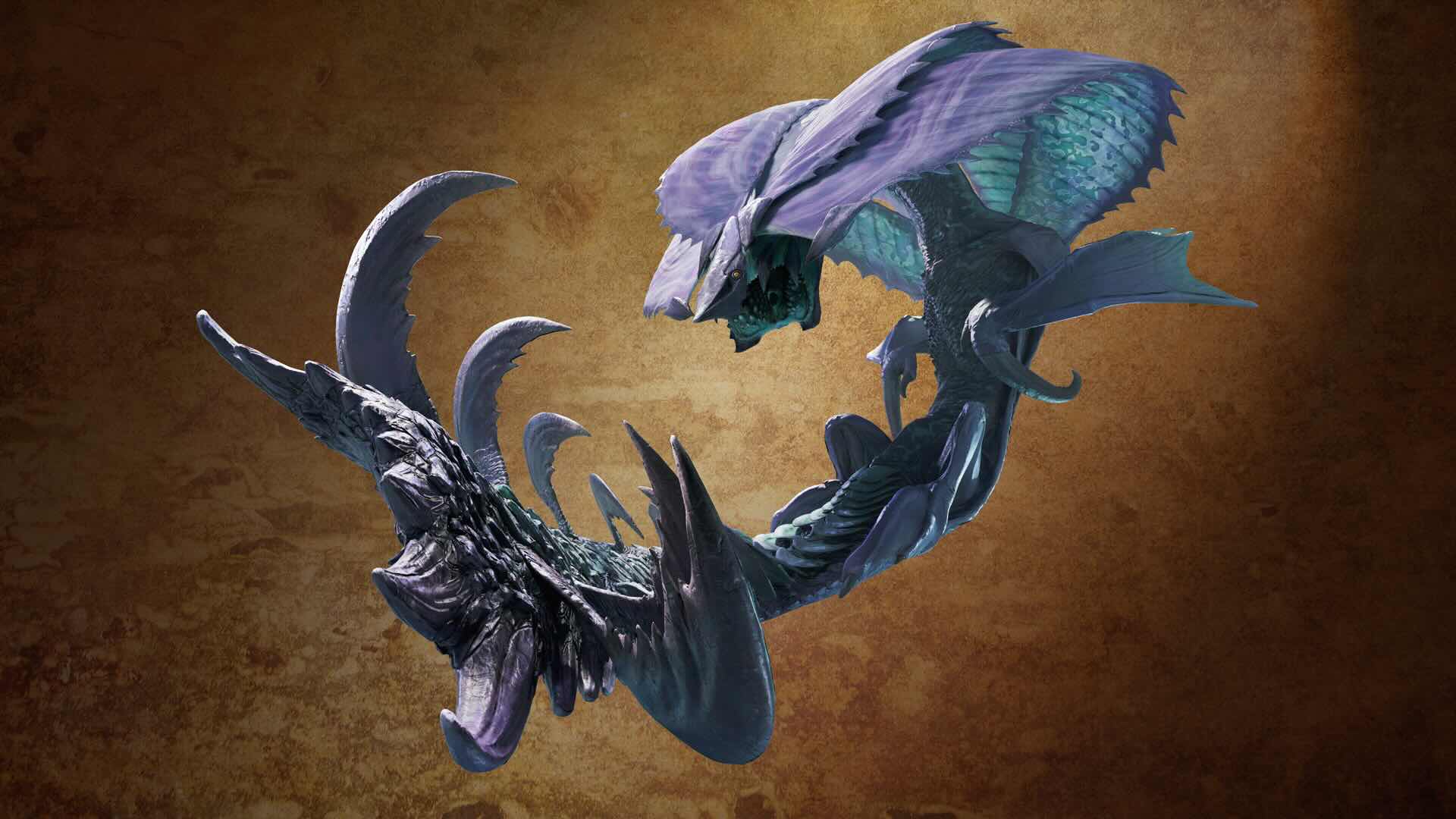 ヒラバミ画像