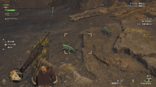 ホムラエリトカゲ