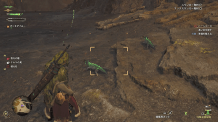 ホムラエリトカゲ