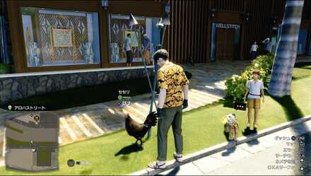 セセリの見た目