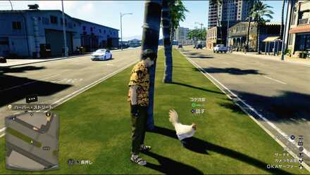 コケ次郎の見た目