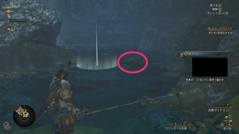 魚の影の上を狙ってルアーを投げる