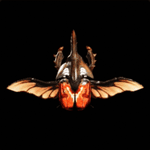 ザミールビートル画像