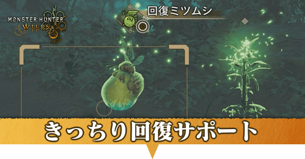 きっちり回復サポートの攻略