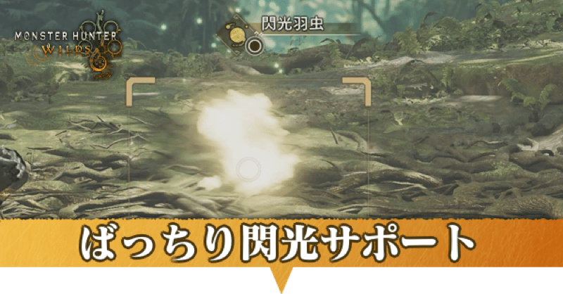 ばっちり閃光サポートの攻略